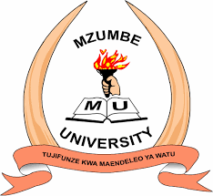 Undergraduate students