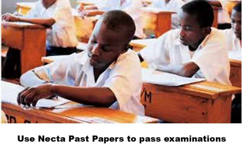 Student studying with past examination papers